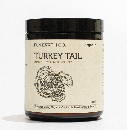 Turkey Tail Powder