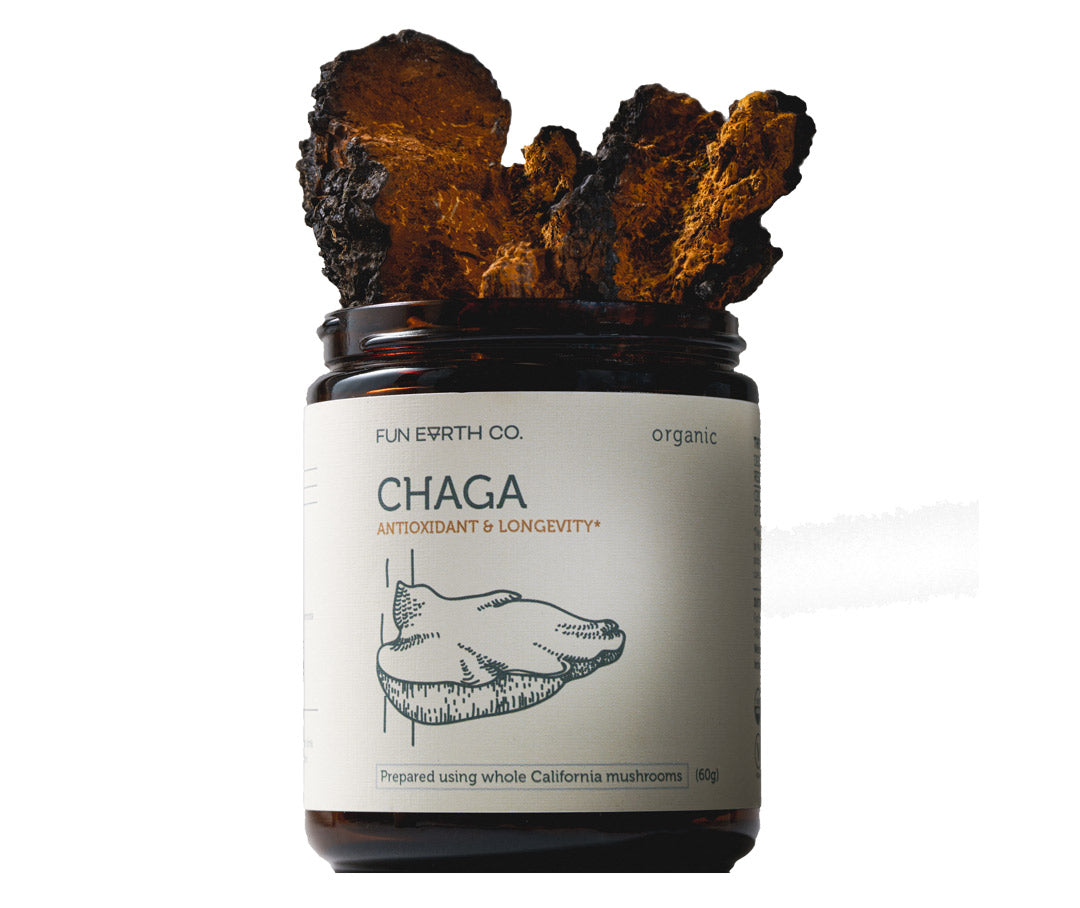 Chaga Powder