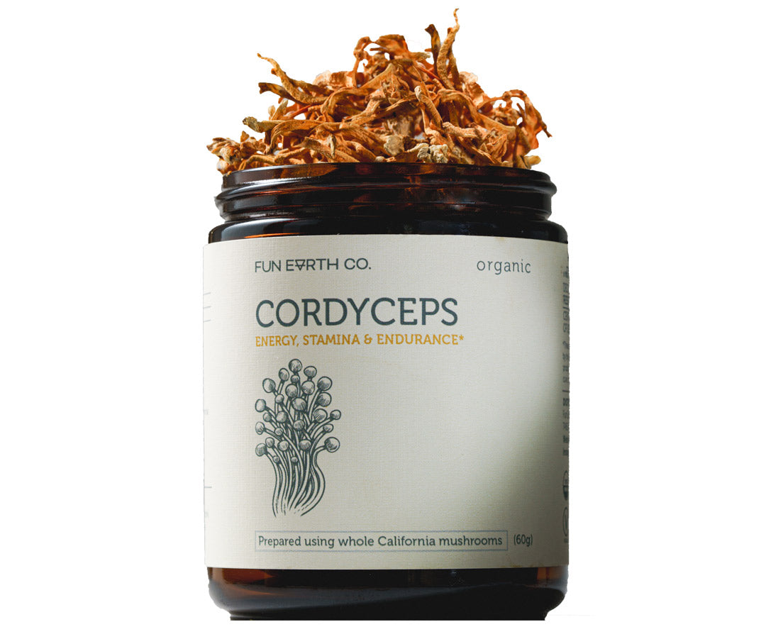Cordyceps Powder