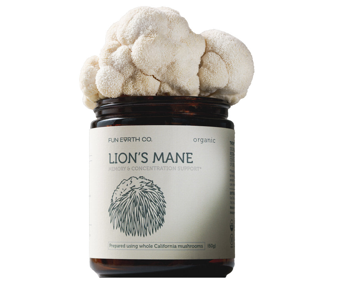 Lion's Mane Powder