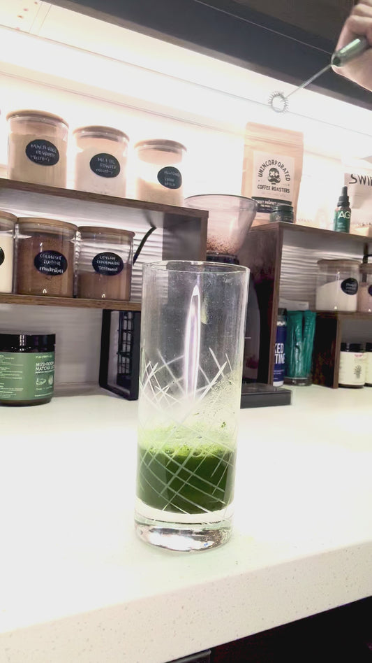 Fun Earth Co Frother