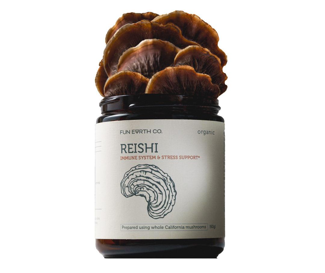 Reishi Powder - Fun Earth Co
