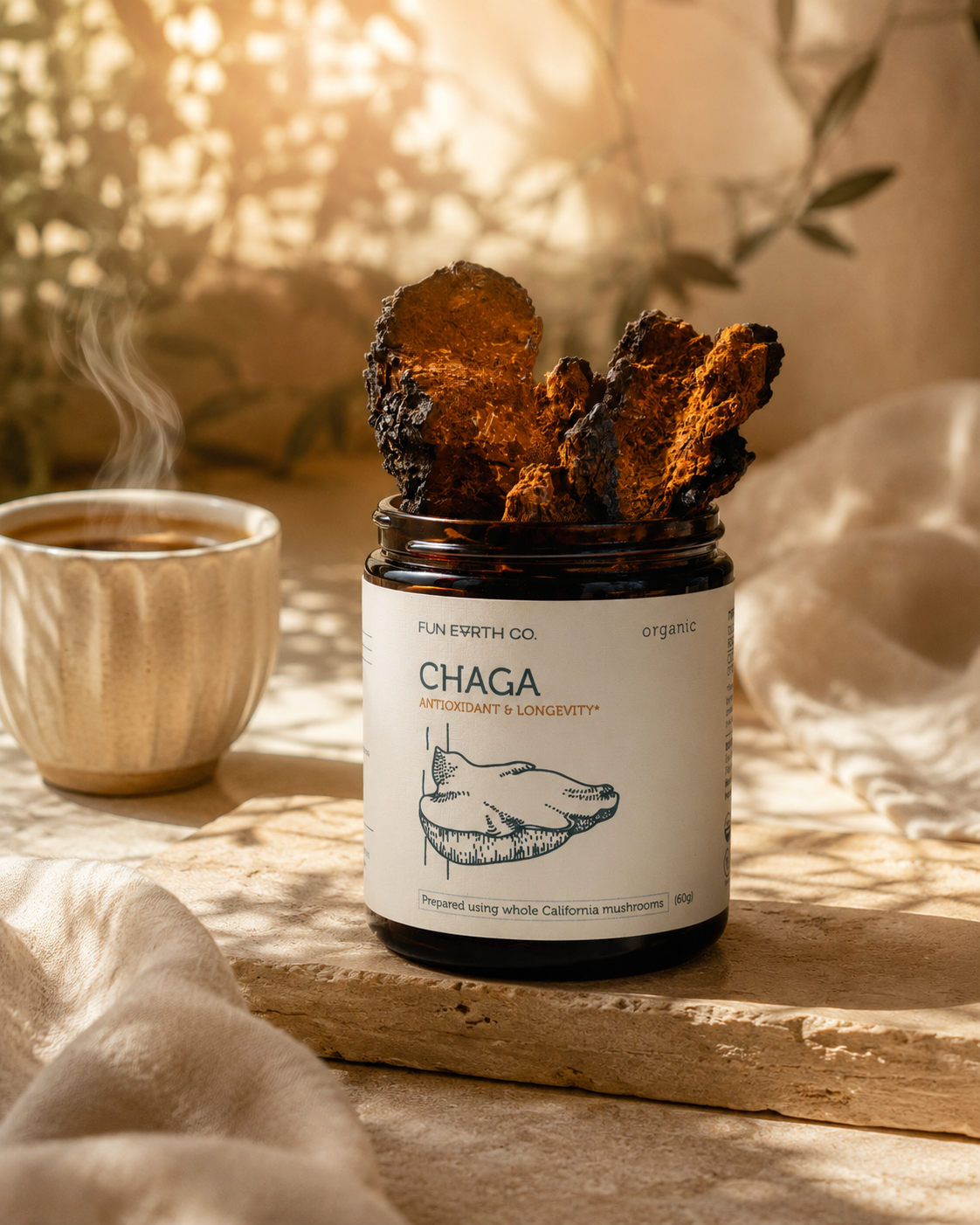 Fun Earth Chaga jar with Chaga mushrooms
