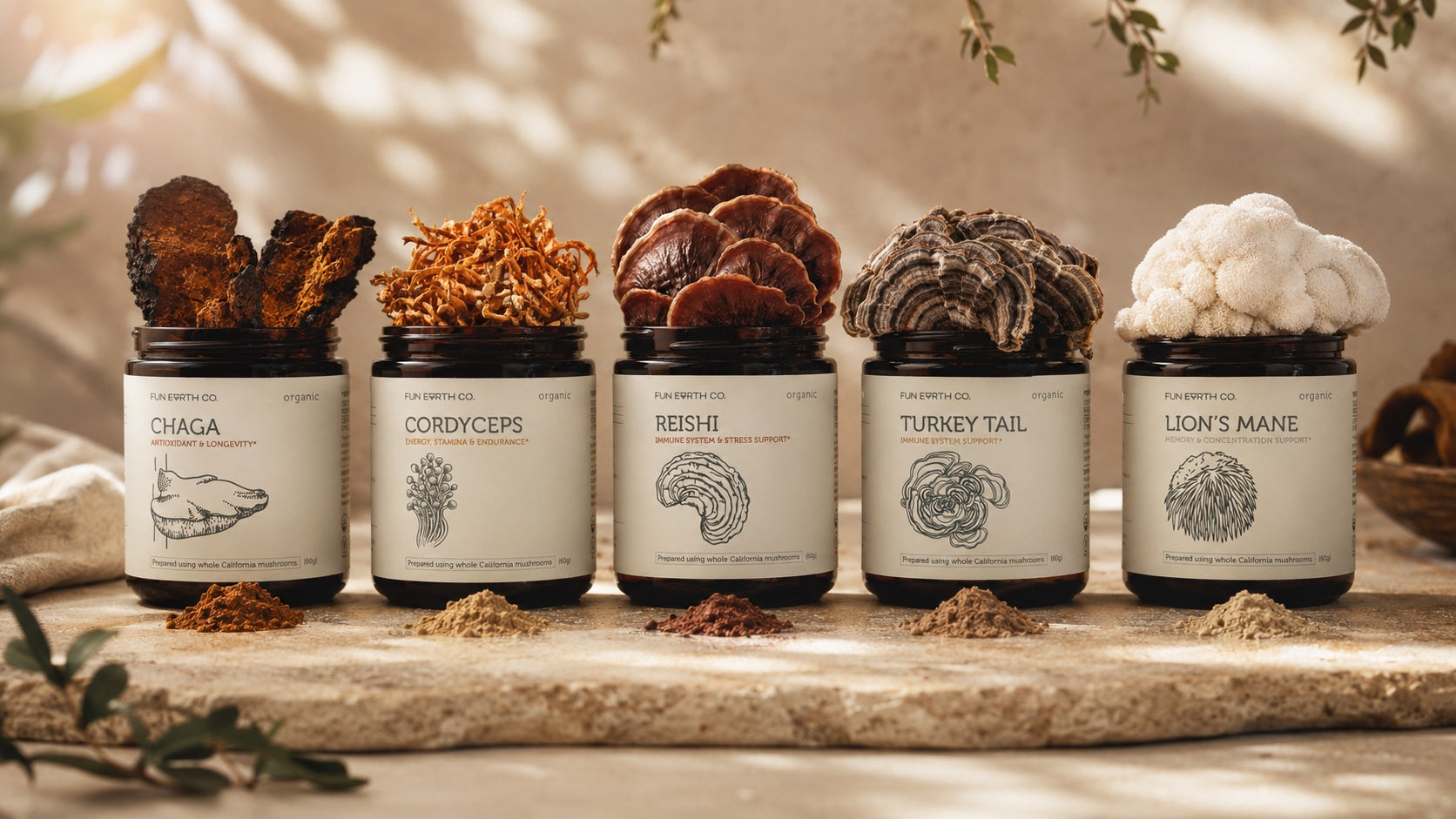 Fun Earth mushroom varietal jars with Chaga, Cordyceps, Reishi, Turkey Tail, and Lion's Mane